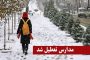 جنگلهای ارسباران ثبت جهانی میشود 