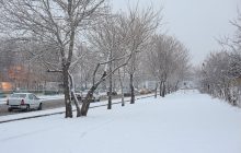 هواشناسی ایران ۹۸/۱۱/۲۱|هشدار کاهش ۲۰ درجه ای دما
