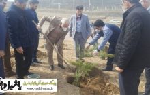 آغاز عملیات درختکاری در محدوده شهرک میلاد
