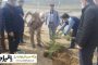 مرگ ۱۵۱۴ نفر طی ۲۴ ساعت گذشته بر اثر ویروس کرونا در آمریکا