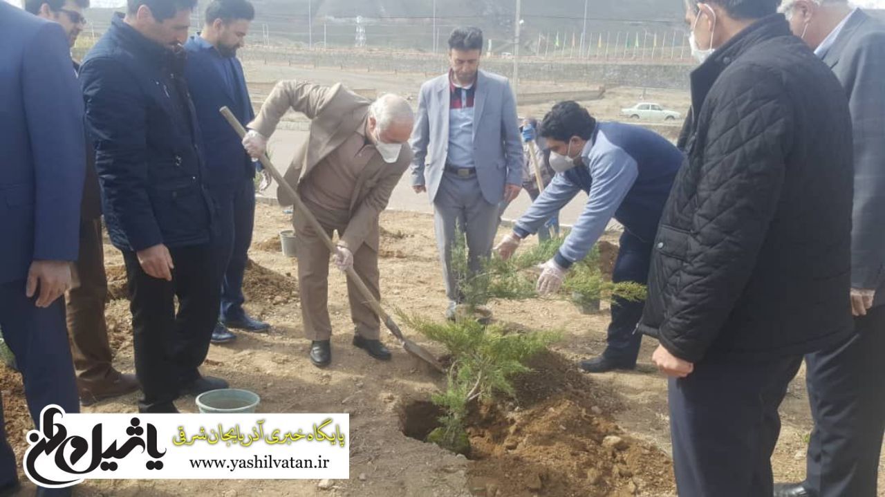 آغاز عملیات درختکاری در محدوده شهرک میلاد