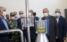 شهرستان مرند در تولید گل محمدی رتبه سوم استانی را به خود اختصاص داده است