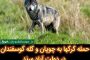نهضت تبدیل شبکه فشار ضعیف سیمی به