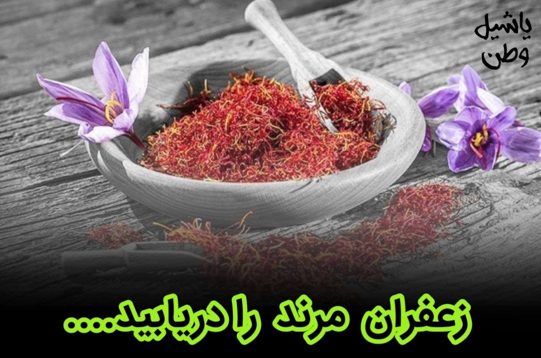 مسئولین کشاورزی زعفران مرند را دریابید....