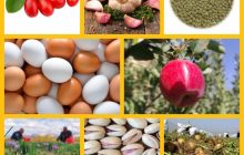 آذربایجان شرقی نیازمند روستا بازار/ دست دلالان قطع شود