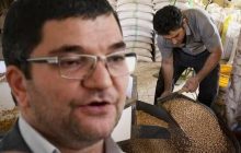 راه اندازی پالایشگاه حبوبات در آذرشهر