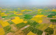 ۴۴۷ هکتار از اراضی ملی در آذربایجان شرقی به بیت‌المال بازگشت