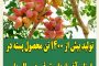 تماس تلفنی وزیر خارجه قطر با امیرعبداللهیان