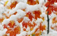 هواشناسی ایران ۱۴۰۱/۱۰/۲۱؛ بارش برف و باران در ۱۴ استان/ هشدار کولاک و یخبندان در ۸ استان