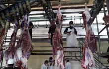 دلیل گرانی گوشت قرمز مشخص شد/ عرضه در بهمن ماه ۲۴ درصد کاهش یافت