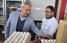 طرح نظارت بر بازار نوروز و ماه رمضان در شهرستان مرند آغاز شد