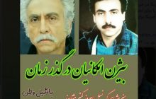 بیوگرافی بیژن امکانیان