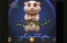 همستر بازان نقره داغ شدند و تنشان بی کت ماند....