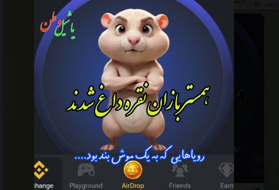 همستر بازان نقره داغ شدند و تنشان بی کت ماند....