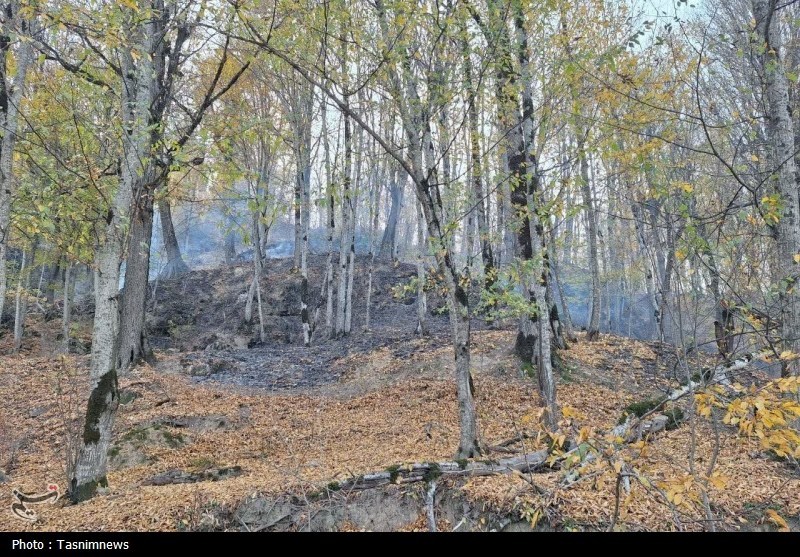 مراتع جنگلی روستای «نمنق» جلفا طعمه حریق شد